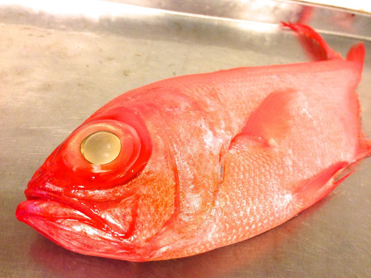 Country Inn Galley Ito (Shizuoka) Bagian luar foto